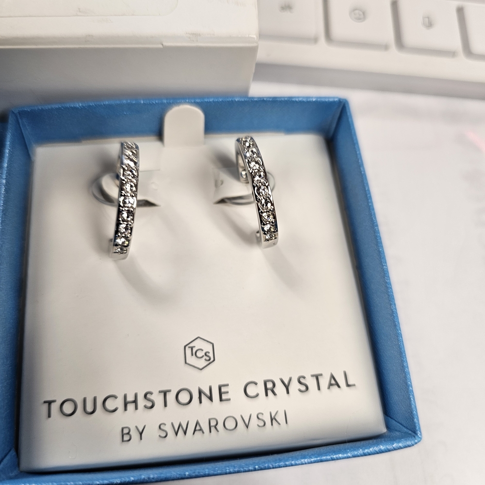 Touchstone Crystal Look Around Earrings